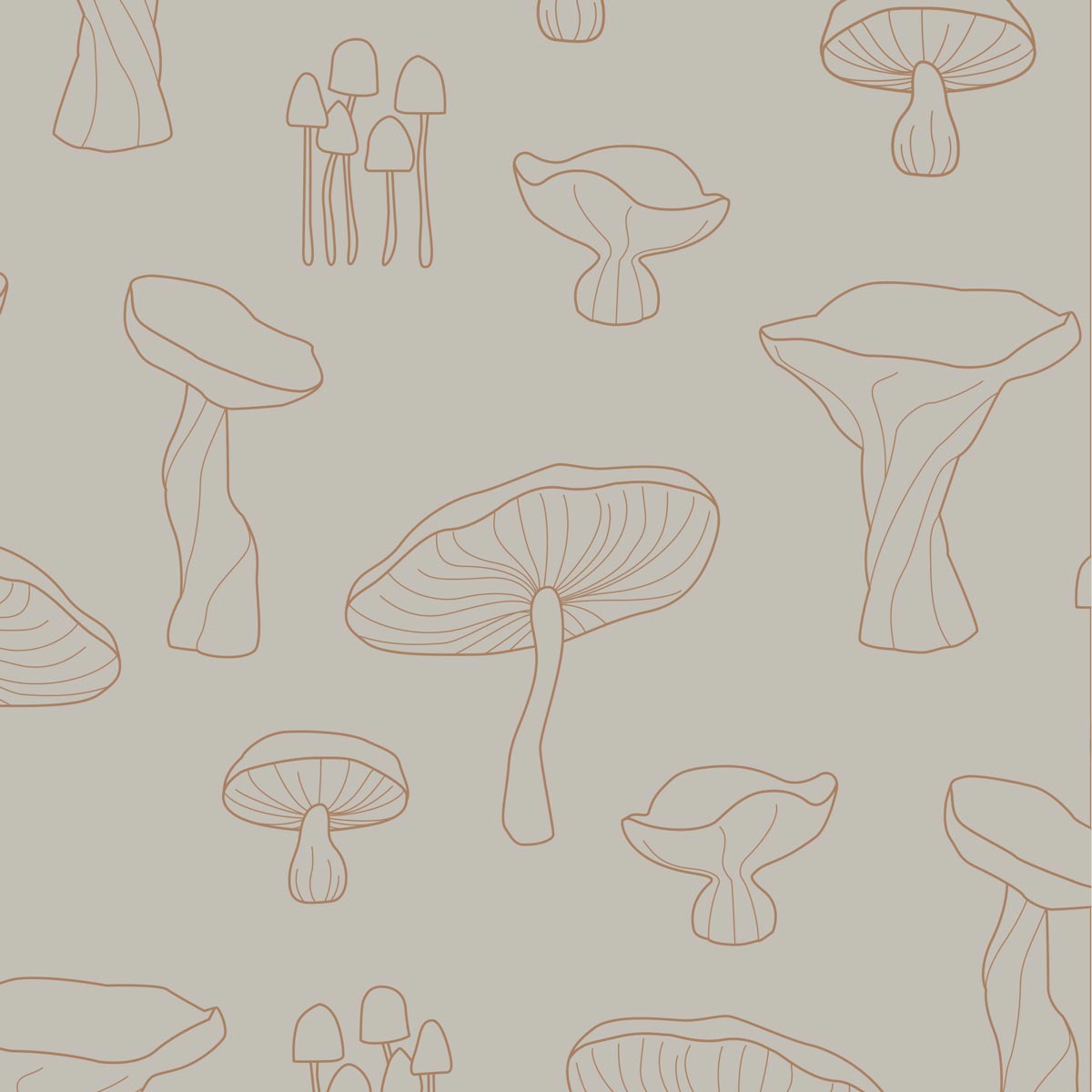 Napkin-Fungi-Sand.jpg