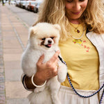HAY-Dogs-Leash-Braided-lavender-and-green.jpg