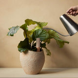 Untitled-10.jpg