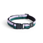 AD864-D012-AO16_HAY-Dogs-Collar-Flat-S-M-lavender_green.jpg