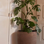 A010622W41.jpg