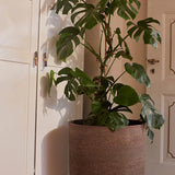 A010622W41.jpg