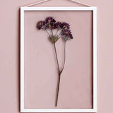Untitled-21.jpg