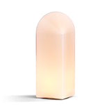 AB690-A568-AH49_Parade Table Lamp 320 blush pink on.jpg