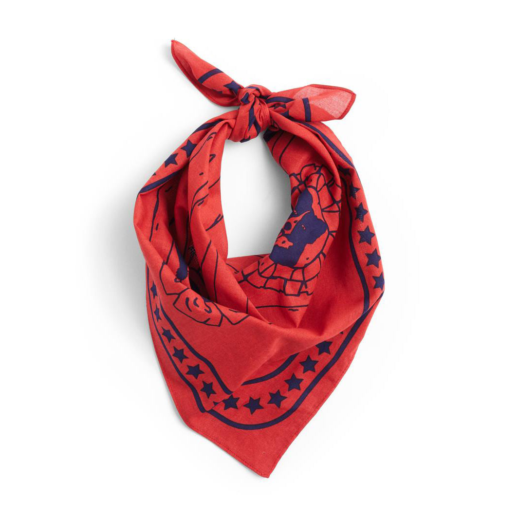 AE930-D281-AB27_HAY-Dogs-Scarf-Recycled-red-01.jpg