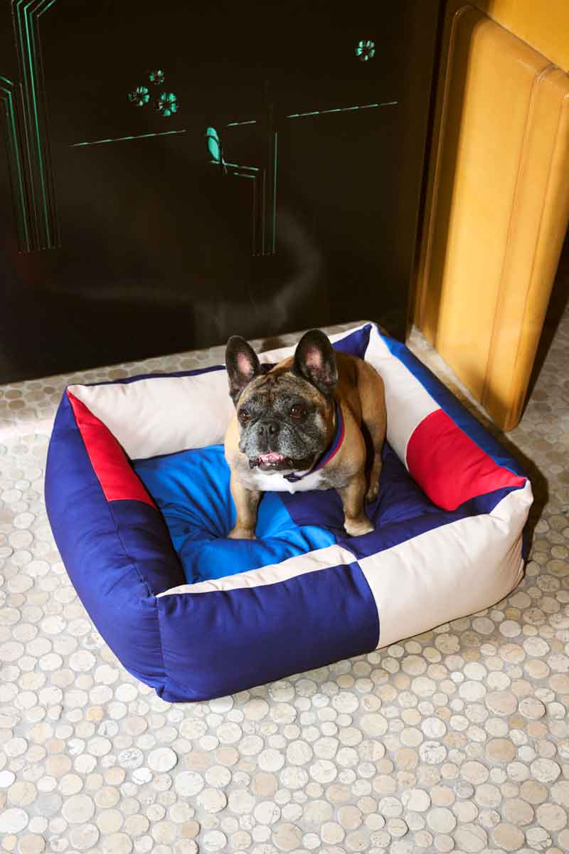 HAY-Dogs-Bed-M-red-and-blue_HAY-Dogs-Collar-Flat-red-and-blue.jpg