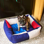 HAY-Dogs-Bed-M-red-and-blue_HAY-Dogs-Collar-Flat-red-and-blue.jpg