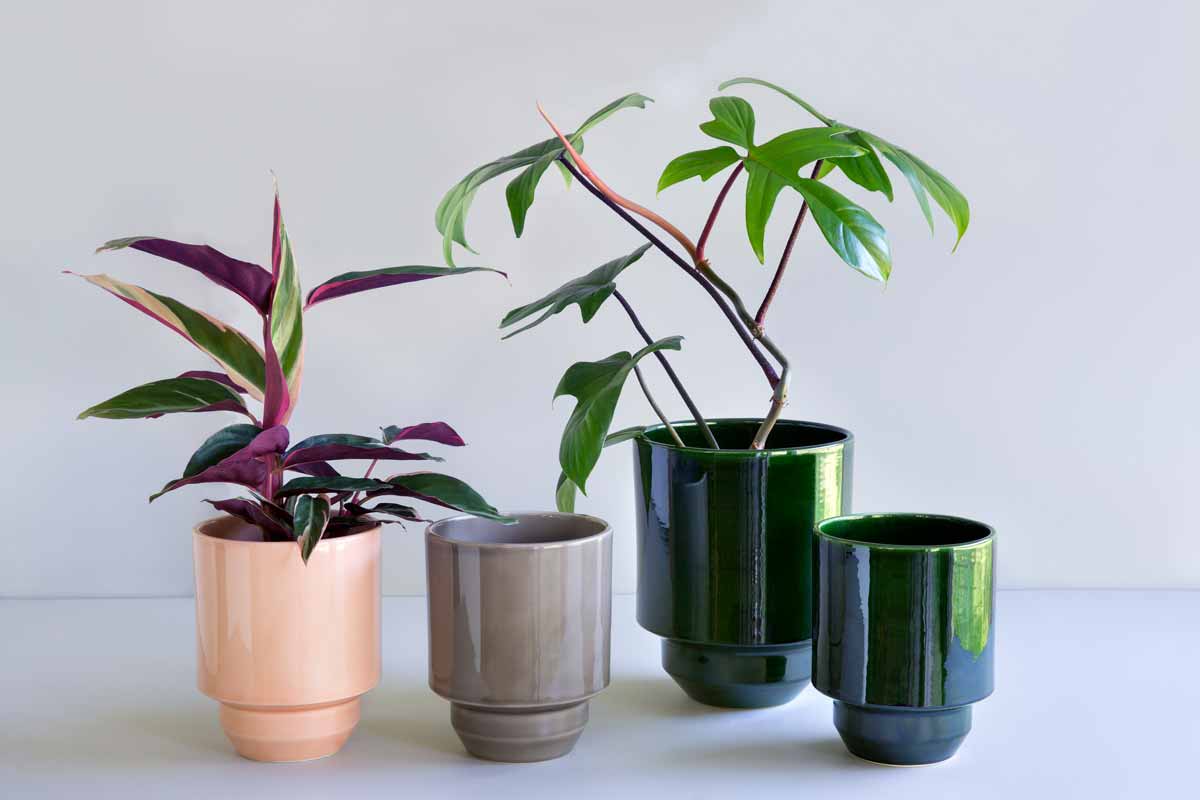 Hoff-Cover-Pot-collection.jpg