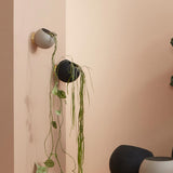 Untitled-41.jpg