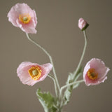 Untitled-12.jpg