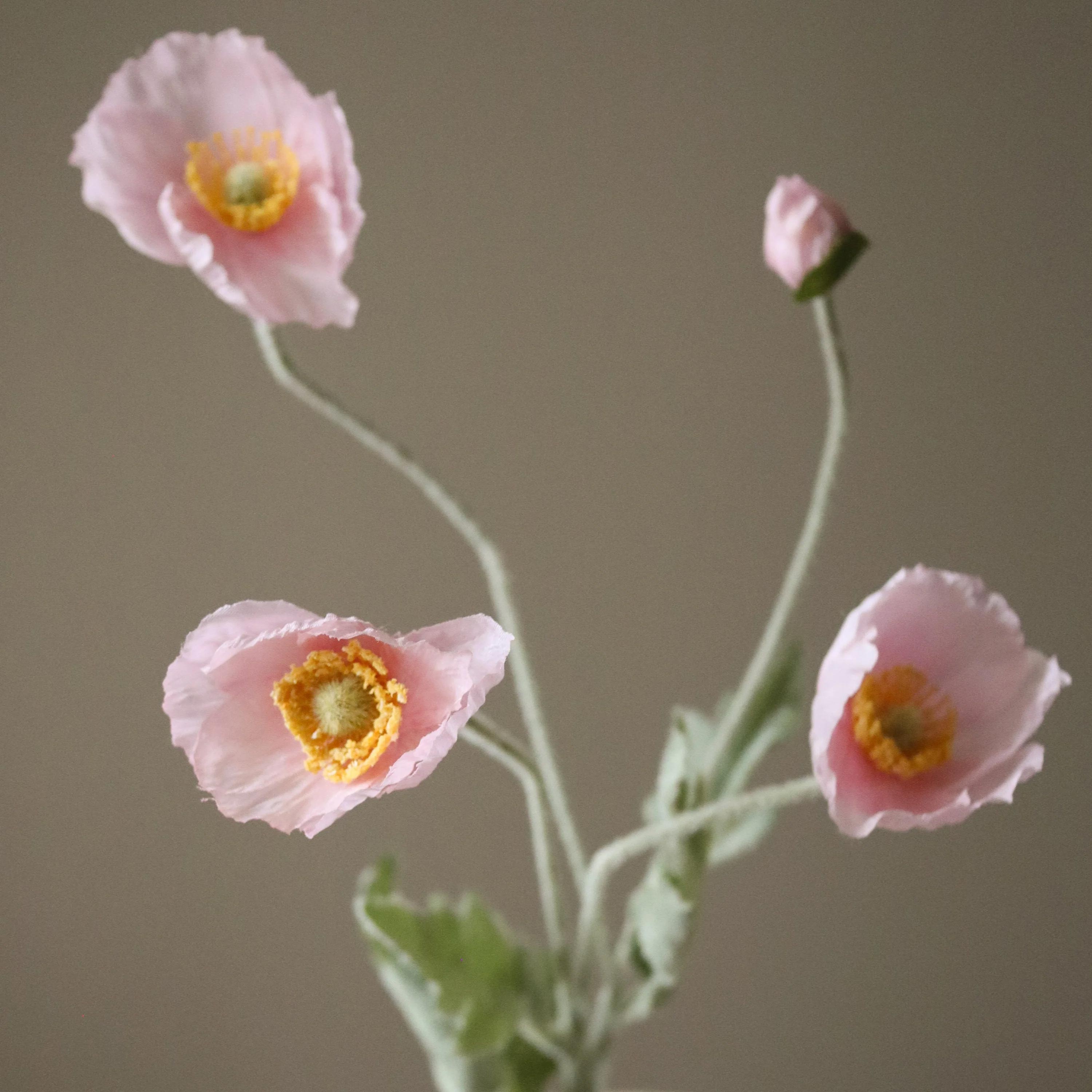 Untitled-12.jpg