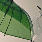 Canopy Umbrella green_clear.jpg