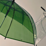 Canopy Umbrella green_clear.jpg