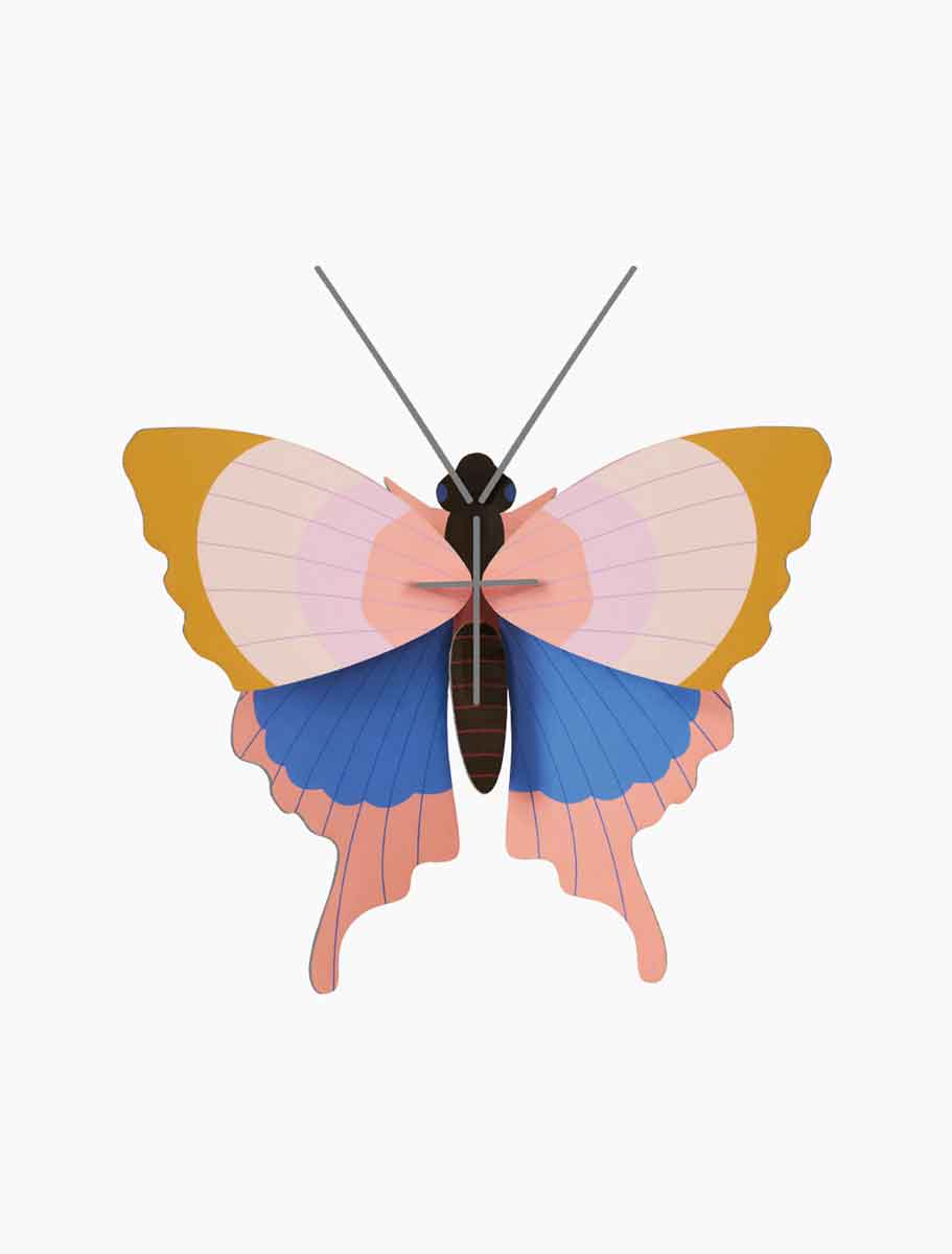 GOLD-RIM-BUTTERFLY_WEBSITE-PRODUCT-PICTURE.jpg