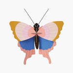 GOLD-RIM-BUTTERFLY_WEBSITE-PRODUCT-PICTURE.jpg
