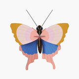 GOLD-RIM-BUTTERFLY_WEBSITE-PRODUCT-PICTURE.jpg