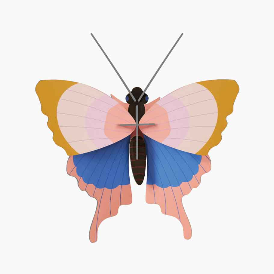 GOLD-RIM-BUTTERFLY_WEBSITE-PRODUCT-PICTURE.jpg