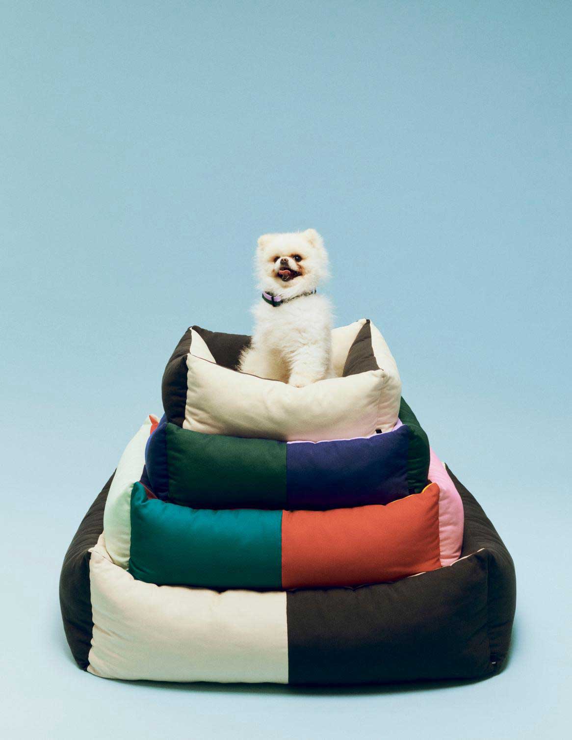 HAY-Dogs-Bed-family-03.jpg