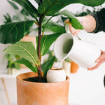 Untitled-58.jpg