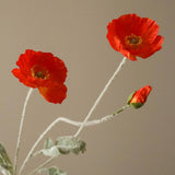 Untitled-2.jpg