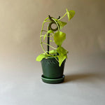 BERGS-POTTER_plant-stake_Folk_Oni_mogr_6591_jk.jpg