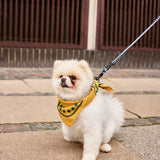 HAY-Dogs-Leash-Braided-lavender-and-green_HAY-Dogs-Scarf-ochre-01.jpg