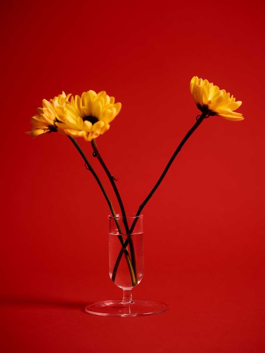 Tiny-Vase-clear-04.jpg
