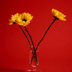 Tiny-Vase-clear-04.jpg