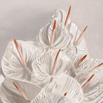 Untitled-54.jpg