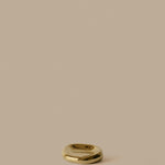 FermLiving_Holiday2026_PackshotsWithBackground_BellureBowl_17_BrassFinish_1104273993.jpg