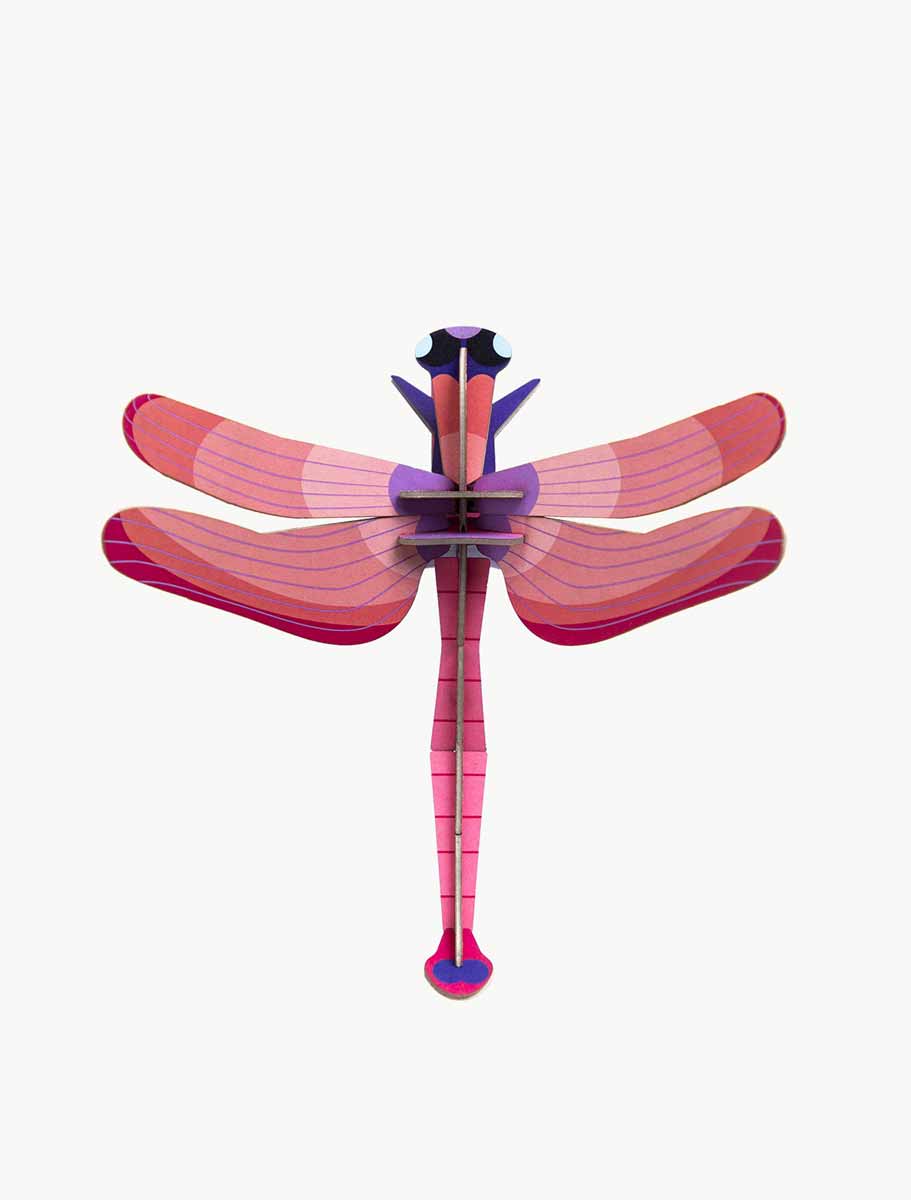 small-insects-pink-dragonfly.jpg