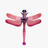 small-insects-pink-dragonfly.jpg