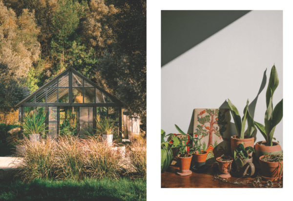 Kinfolk-Garden2-600x412.png
