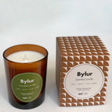 bylur4.jpg