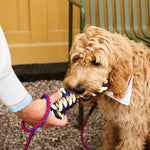 HAY-Dogs-Rope-Toy-blue-and-purple-and-ochre_HAY-Dogs-Leash-Braided-red-and-blue_HAY-Dogs-Scarf-off-white-01.jpg