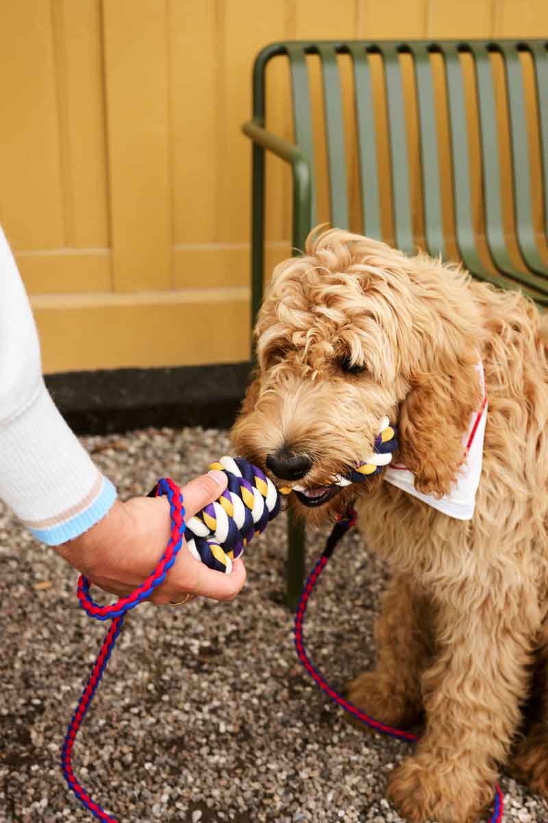 HAY-Dogs-Rope-Toy-blue-and-purple-and-ochre_HAY-Dogs-Leash-Braided-red-and-blue_HAY-Dogs-Scarf-off-white-01.jpg