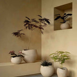 Untitled-60.jpg