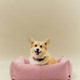 HAY Dogs Bed Zip M red and white stripe_HAY Dogs Collar Flat M-L red and white stripe_01.jpg