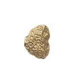 FermLiving_SS25_ComberCoralHookBrass_Brass_1104270838_1.jpg