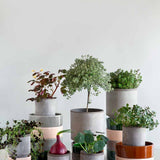Bergs-Potter-Hoff-Mix&amp;Match-2.jpg