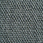 Oksa-moss-close-up.jpg