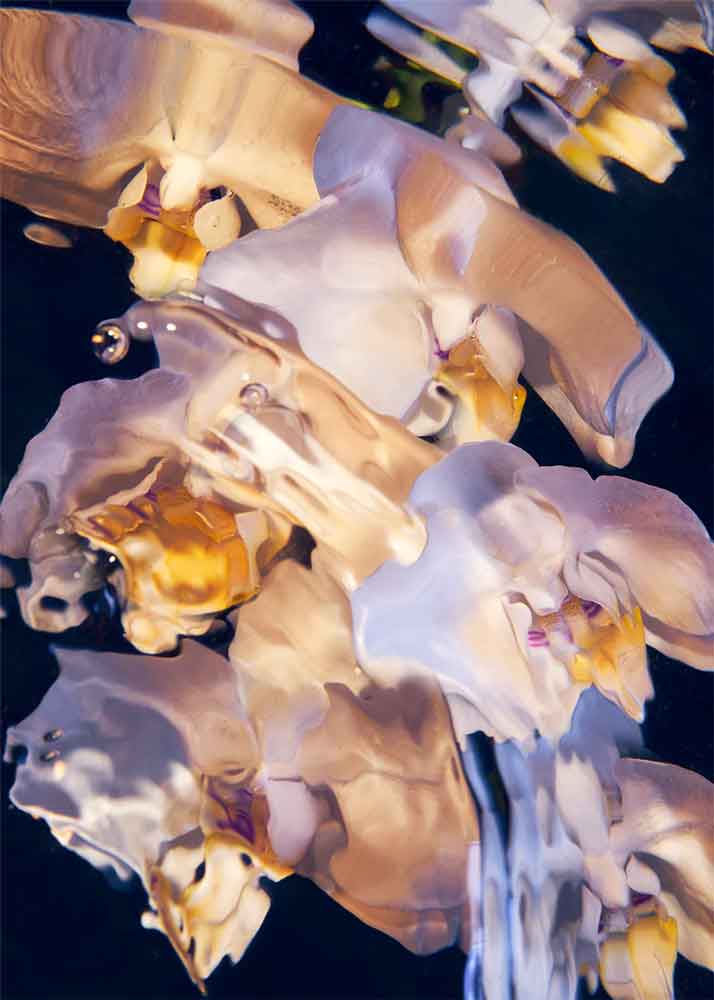 Untitled-17.jpg