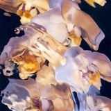 Untitled-17.jpg