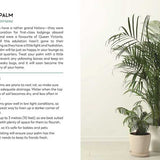 Untitled-59.jpg