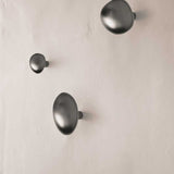 fermLIVING_AW24_MushroomHookBrass_BlackBrass_1104269714_LemonHookBrass_BlackBrass_1104269716_ChanterelleHookBrass_BlackBrass_1104269718.jpg