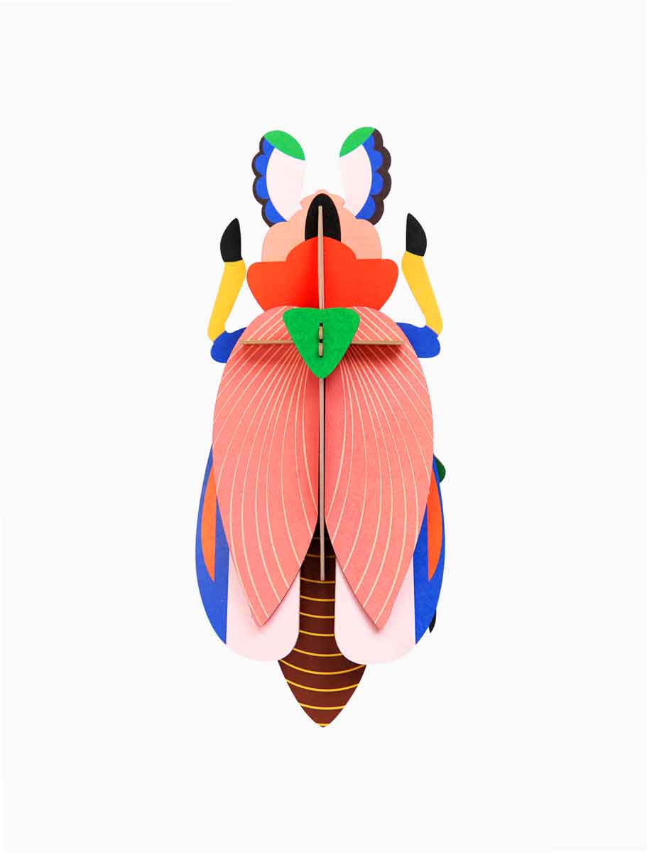 giantladybeetle.jpg