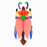 giantladybeetle.jpg