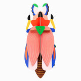 giantladybeetle.jpg