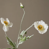 Untitled-16.jpg