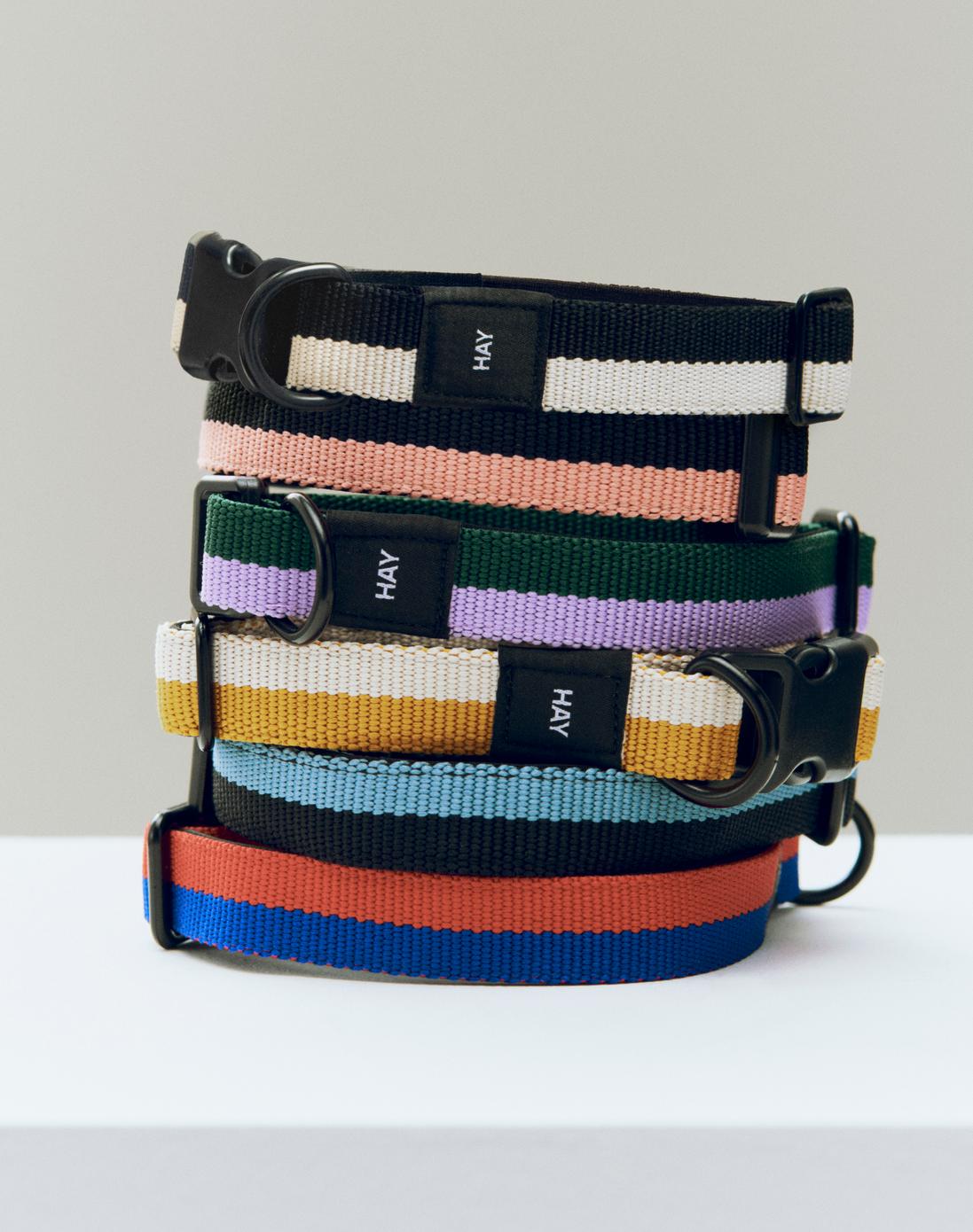 HAY Dogs Collar Flat.jpg